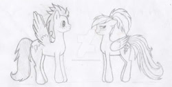 Size: 750x377 | Tagged: safe, artist:fluttersfan888, derpibooru import, rainbow dash, soarin', pegasus, pony, g4, female, male, mare, shipping, sketch, soarindash, stallion, straight, traditional art