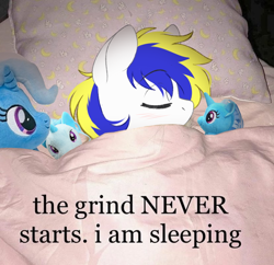 Size: 828x802 | Tagged: safe, artist:higglytownhero, derpibooru import, edit, trixie, oc, oc only, oc:juby skylines, pony, eyes closed, irl, male, meme, photo, photo edit, plushie, ponies in real life, ponified, ponified animal photo, ponified meme, sleeping, solo, stallion, text