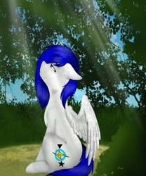 Size: 2500x3000 | Tagged: safe, artist:acidthead, derpibooru import, oc, oc only, oc:melissa, pegasus, pony, crepuscular rays, female, grass, high res, mare, partially open wings, profile, sitting, solo, wings