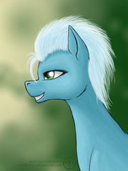 Size: 900x1200 | Tagged: safe, artist:adalbertus, derpibooru import, fleetfoot, pony, bust, female, grin, mare, portrait, profile, smiling, solo