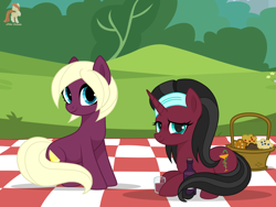 Size: 4000x3000 | Tagged: safe, artist:r4hucksake, derpibooru import, oc, oc:bitter lemon, oc:sweet shiraz, earth pony, pony, unicorn, basket, bottle, female, lying down, mare, picnic blanket, prone