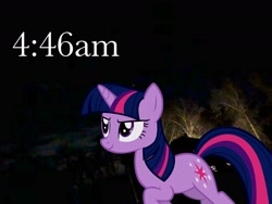 Size: 1280x960 | Tagged: safe, artist:popoyriaza453, derpibooru import, twilight sparkle, unicorn twilight, unicorn, g4, female, irl, night, photo, solo