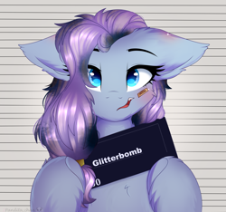 Size: 1600x1500 | Tagged: safe, artist:2pandita, derpibooru import, oc, oc:glitterbomb, earth pony, pony, female, mare, mugshot, solo