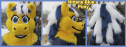 Size: 1200x453 | Tagged: safe, artist:ramcat, derpibooru import, oc, oc only, oc:nittany blue, bust, fursuit, irl, multiple views, photo, ponysuit, portrait, text, watermark