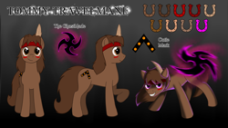 Size: 3840x2160 | Tagged: safe, artist:dustymooneye, artist:naughtycatnick, derpibooru import, oc, oc only, oc:tommy travelmane, earth pony, pony, black background, feather, gradient background, multiple views, reference sheet, simple background, solo