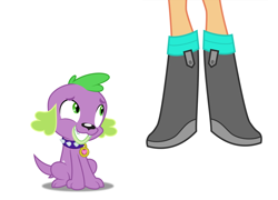 Size: 948x684 | Tagged: safe, anonymous artist, derpibooru import, scootaloo, spike, dog, human, equestria girls, g4, anonymous editor, eyes on the prize, legs, pictures of legs, shoes, simple background, sneakers, white background