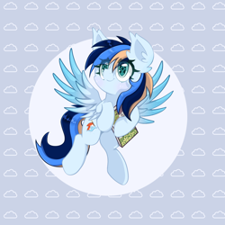 Size: 1280x1280 | Tagged: safe, artist:音灵灵, derpibooru import, oc, oc only, oc:bright banner, pegasus, pony, blushing, solo