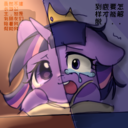 Size: 1080x1080 | Tagged: safe, artist:mm27223367, derpibooru import, twilight sparkle, pony, book, chinese, crown, crying, jewelry, regalia, text, translated in the comments