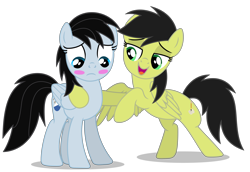 Size: 7284x5025 | Tagged: safe, artist:creedyboy124, derpibooru import, oc, oc only, oc:chloe park, oc:sadie park, pegasus, g4, blushing, duo, duo female, female, happy, hearts and hooves day, holiday, lesbian, mare, shipping, simple background, transparent background, valentine's day