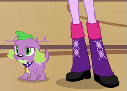 Size: 647x464 | Tagged: safe, derpibooru import, edit, edited screencap, screencap, spike, twilight sparkle, dog, human, equestria girls, equestria girls (movie), g4, boots, boots shot, confused, cropped, eyebrows, high heel boots, legs, pictures of legs, raised eyebrow, shoes