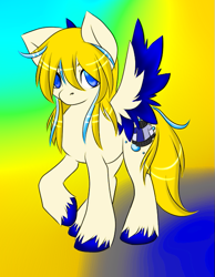 Size: 475x611 | Tagged: safe, artist:akurei269, derpibooru import, oc, oc only, oc:bubblebell, pegasus, pony, colored wings, gradient background, pegasus oc, raised hoof, raised leg, solo, spread wings, two toned wings, unshorn fetlocks, wings