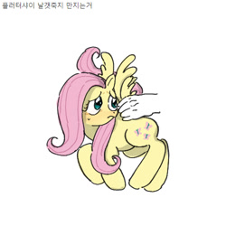 Size: 500x500 | Tagged: safe, derpibooru import, fluttershy, pegasus, g4, blushing, hand, korean, looking back, raised tail, simple background, sweat, sweatdrop, tail, white background, wings