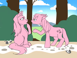 Size: 1420x1080 | Tagged: safe, derpibooru import, pony, commission, duo, your character here
