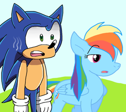 Size: 938x838 | Tagged: safe, artist:cmara, derpibooru import, rainbow dash, hedgehog, pegasus, pony, g4, female, male, solo, sonic the hedgehog, sonic the hedgehog (series)