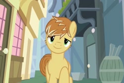 Size: 1024x684 | Tagged: safe, derpibooru import, screencap, feather bangs, earth pony, pony, g4, hard to say anything, season 7, fanfic cover, looking at you, male, ponyville, seductive look, solo, stallion