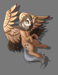 Size: 1120x1440 | Tagged: safe, artist:n0thingbutath0ught, derpibooru import, oc, oc only, pegasus, gray background, hood, makeup, simple background, solo