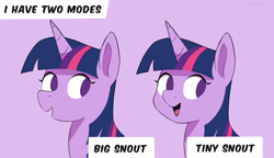 Size: 4000x2300 | Tagged: safe, artist:vital, derpibooru import, twilight sparkle, twilight sparkle (alicorn), alicorn, pony, g4, comparison, purple background, simple background, snout, text