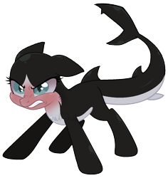 Size: 1172x1243 | Tagged: safe, artist:sinamuna, derpibooru import, oc, oc only, oc:verloren, original species, pony, shark, shark pony, angry, au:equuis, bald, base used, fins, fish tail, glare, green eyes, growling, red face, shark fin, shark tail, shaved mane, simple background, solo, tail, transparent background