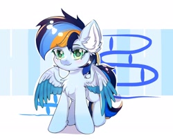 Size: 2478x2000 | Tagged: safe, artist:celedash, derpibooru import, oc, oc:bright banner, pegasus