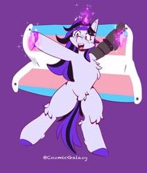 Size: 1505x1772 | Tagged: safe, artist:cozziesart, oc, oc only, pony, female, mare, transgender