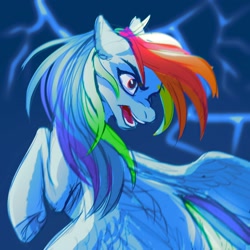 Size: 2000x2000 | Tagged: safe, artist:nettlemoth, derpibooru import, rainbow dash, pegasus, pony, g4, solo