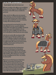 Size: 2400x3200 | Tagged: safe, artist:redahfuhrerking, derpibooru import, oc, oc:sila, horse, them's fightin' herds, armor, community related, female, solo, story included