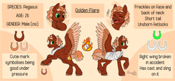 Size: 4096x1908 | Tagged: safe, artist:kleowolfy, derpibooru import, oc, oc only, oc:golden flare, pegasus, pony, bandage, broken bone, broken wing, brown background, cast, colored hooves, colored wings, freckles, injured, large wings, leg fluff, multicolored wings, ponified, reference sheet, short tail, simple background, sling, smiling, solo, species swap, tail, unshorn fetlocks, wings