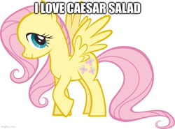 Size: 676x500 | Tagged: safe, derpibooru import, fluttershy, pegasus, pony, g4, caesar salad, caption, female, image macro, impact, looking at you, mare, meme, raised hoof, raised leg, simple background, smiling, smiling at you, solo, spread wings, text, wat, white background, wings