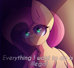 Size: 2400x2206 | Tagged: safe, artist:miryelis, derpibooru import, fluttershy, pegasus, pony, g4, big ears, ears, female, glowing, glowing eyes, looking at you, mare, meme, shadow, smiling, solo, text