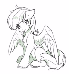 Size: 2726x2934 | Tagged: safe, artist:opalacorn, derpibooru import, oc, oc only, pegasus, pony, ears, eyebrows, eyebrows visible through hair, floppy ears, grayscale, male, monochrome, simple background, sitting, solo, stallion, unshorn fetlocks, white background