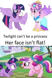 Size: 455x674 | Tagged: safe, derpibooru import, screencap, princess cadance, twilight sparkle, twilight sparkle (alicorn), unicorn twilight, alicorn, unicorn, g4, female, filly, filly twilight sparkle, foal, solo, teen princess cadance, younger, younger female