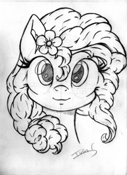 Size: 1673x2301 | Tagged: safe, artist:memprices, derpibooru import, pear butter, earth pony, pony, bangs, bust, curly hair, curly mane, female, flower, flower in hair, front view, grayscale, high res, looking at you, mare, monochrome, pencil drawing, ponytail, portrait, sketch, smiling, smiling at you, solo, traditional art