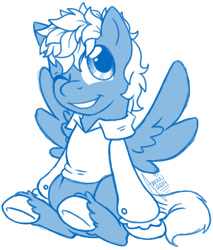 Size: 988x1157 | Tagged: safe, artist:amuzoreh, derpibooru import, oc, oc only, pegasus, pony, clothes, grin, male, monochrome, one eye closed, simple background, sitting, smiling, solo, stallion, unshorn fetlocks, white background