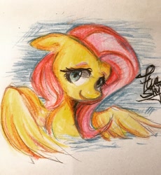 Size: 1837x2000 | Tagged: safe, artist:meowmeows, artist:meowmeows4872, derpibooru import, fluttershy, pegasus, pony, colored pencil drawing, smiling, solo, traditional art