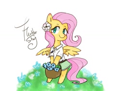 Size: 1400x1050 | Tagged: safe, artist:meowmeows, artist:meowmeows4872, derpibooru import, fluttershy, pegasus, pony, semi-anthro, basket, clothes, cute, dress, female, flower, flower in hair, grass, looking at you, mare, shyabetes, smiling, smiling at you, solo, spread wings, wings