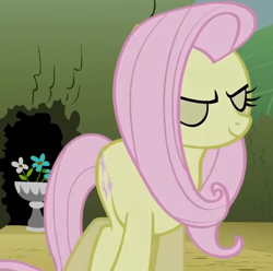 Size: 616x610 | Tagged: safe, derpibooru import, screencap, fluttershy, earth pony, pony, g4, season 2, the return of harmony, closed mouth, cropped, discorded, earth pony fluttershy, eyes closed, female, flutterbitch, fluttercruel, mare, missing wing, race swap, smiling, walking