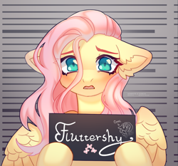 Size: 2880x2680 | Tagged: safe, artist:konejo, artist:monphys, edit, fluttershy, pegasus, pony, barbie mugshot meme, cropped, duo, mugshot