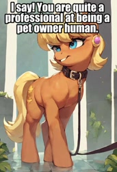 Size: 656x960 | Tagged: safe, ai content, edit, editor:undeadponysoldier, machine learning generated, ms. harshwhinny, earth pony, human, pony, collar, cute, female, implied human, leash, mare, ms. cutewhinny, offscreen character, offscreen human, pet, pony pet, solo