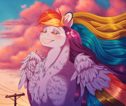 Size: 2980x2507 | Tagged: safe, artist:silverwolf866, derpibooru import, rainbow dash, pegasus, pony, g4, chest fluff, crying, ear fluff, ears, eyes closed, female, grin, high res, mare, rainbow eyelashes, smiling, solo, sunset, tears of joy, windswept mane