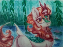 Size: 4080x3072 | Tagged: safe, artist:jsunlight, derpibooru import, autumn blaze, kirin, lilypad, solo, traditional art, water, watercolor painting