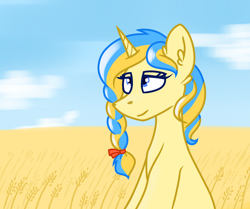 Size: 3534x2953 | Tagged: safe, artist:northglow, oc, oc only, oc:ukraine, pony, unicorn, braid, cloud, detailed background, horn, looking up, nation ponies, ponified, sketch, sky, solo, species swap, ukraine