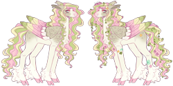 Size: 5066x2525 | Tagged: safe, artist:sleepy-nova, derpibooru import, oc, oc only, oc:water lily, pegasus, pony, colored wings, female, magical lesbian spawn, mare, multicolored wings, offspring, parent:fluttershy, parent:marble pie, parents:marbleshy, simple background, solo, transparent background, wings