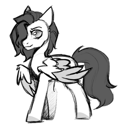 Size: 1280x1295 | Tagged: safe, artist:cloud-fly, derpibooru import, oc, oc only, pegasus, pony, male, monochrome, simple background, solo, stallion, white background