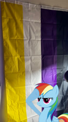 Size: 1170x2087 | Tagged: safe, derpibooru import, rainbow dash, pegasus, pony, female, flag, irl, mare, nonbinary, photo, photography, pride, pride flag, salute, solo