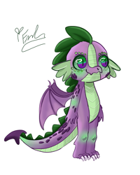 Size: 2400x3000 | Tagged: safe, artist:redlaserartist, derpibooru import, spike, dragon, g4, blushing, claws, knee blush, male, signature, simple background, slit eyes, smiling, solo, spread wings, tail, white background, winged spike, wings