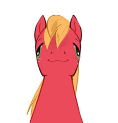 Size: 1427x1491 | Tagged: safe, artist:aztrial, derpibooru import, big macintosh, earth pony, pony, cursed image, faic, freckles, front facing, male, simple background, solo, stallion, white background