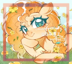 Size: 992x890 | Tagged: safe, artist:hedgehog29271, derpibooru import, pear butter, earth pony, g4, buttercup, chest fluff, female, flower, flower in hair, frame, grass, hoof on chin, looking at you, lying down, mare, prone, smiling, smiling at you, solo
