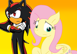 Size: 1110x784 | Tagged: safe, artist:cmara, derpibooru import, fluttershy, pegasus, g4, crossover, female, male, shadow the hedgehog, sonic the hedgehog (series)