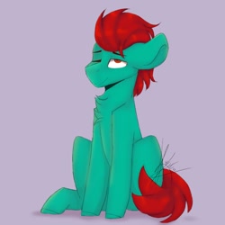 Size: 1000x1000 | Tagged: safe, artist:tragerchelle, oc, oc only, pony, male, stallion