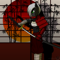 Size: 3512x3512 | Tagged: safe, artist:darkdj137, derpibooru import, oc, oc only, oc:delu, anthro, earth pony, abs, armor, breast binding, katana, samurai, sharp teeth, solo, sword, weapon